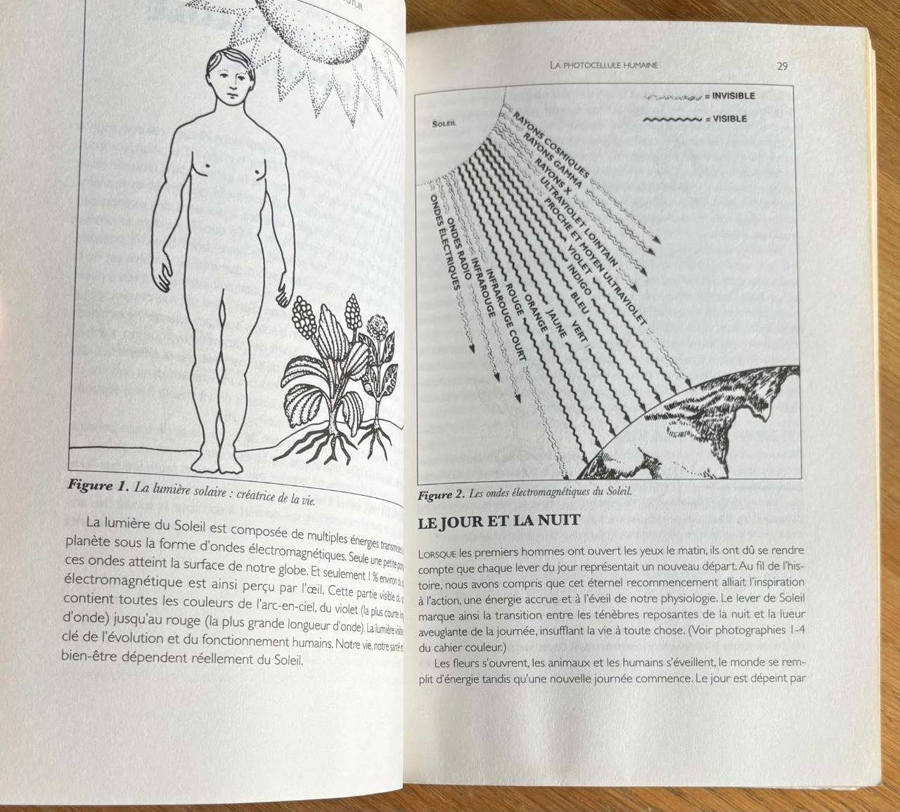 ☀️ Light - Medicine of the Future by Jacob Liberman (Paperback) – photo 13